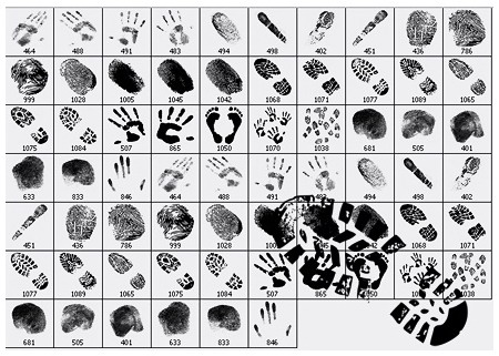 Fingerprints and Footprints - Отпечатки пальцев и следы (Кисти для Photoshop) Fingerprints and Footprints - Отпечатки пальцев и следы (Кисти для Photoshop)