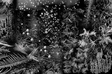 Кисти для фотошопа - Морозные узоры Кисти для фотошопа - Морозные узоры