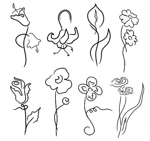 ����� ��� Photoshop �����