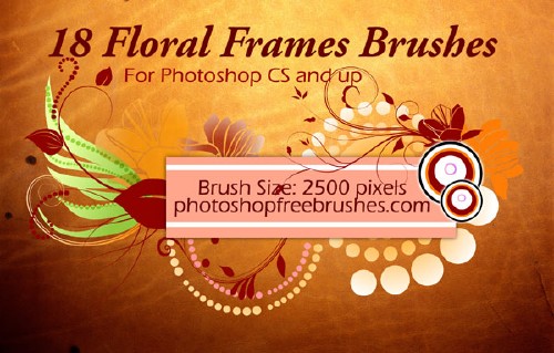 Floral Frame Photoshop Brushes Floral Frame Photoshop Brushes