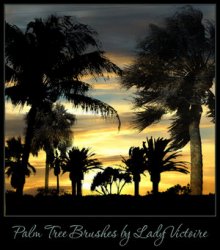 ������. ����� ��� Photoshop