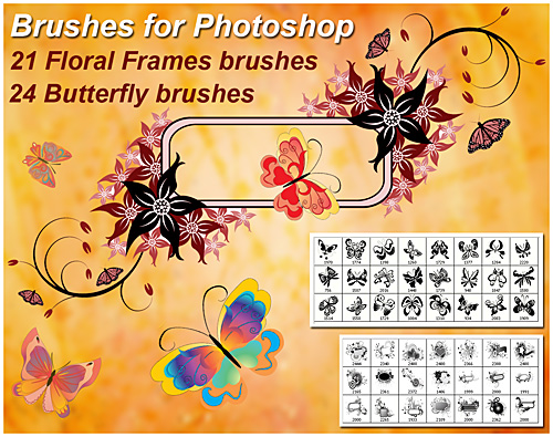 21 Floral Frame&amp;24 Butterfly brushes for Photoshop