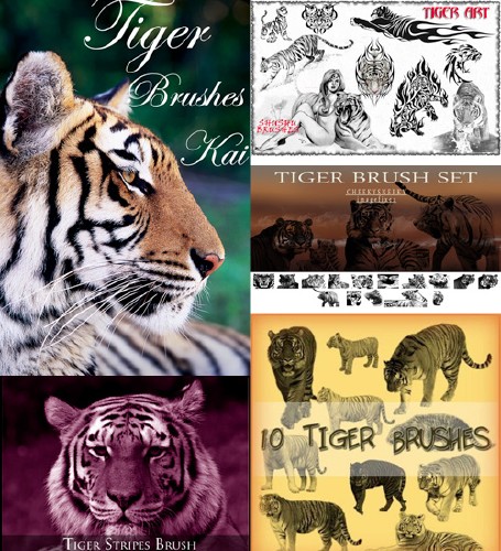 Tiger Photoshop Brush Pack Tiger Photoshop Brush Pack