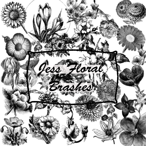 ����� ��� �������� ��������� �����