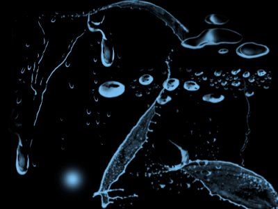 Rons brush wings of water