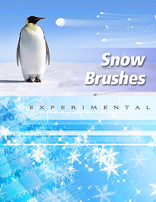 ����� ��������, ���� � ������� ������