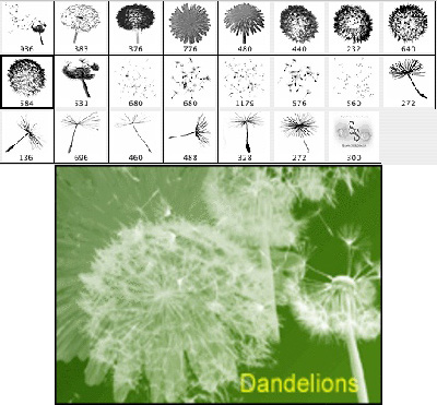 ����� ��� ������� � ����������