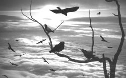 Bird. ����� ��� Photoshop