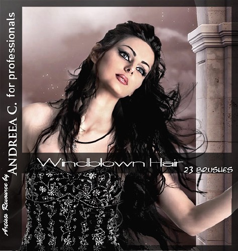 Professional Hair Brushes