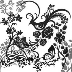 Flowers Brushes. ����� ��� Photoshop