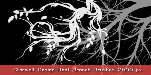 Starwalt Root Branches Starwalt Root Branches