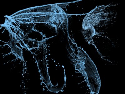 Rons brush wings of water