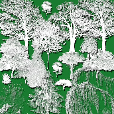 ����� ��� Photoshop - �������