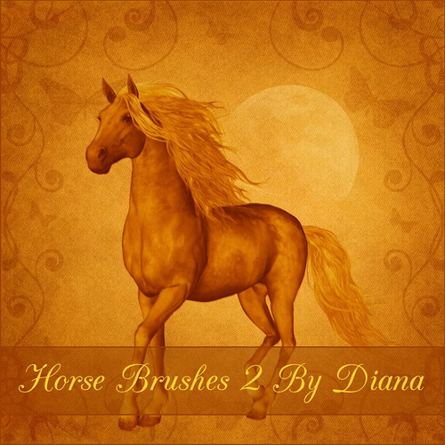 Horse Brushes 1 by Diana Creations Кисти - Лошади Horse Brushes 1 by Diana Creations Кисти - Лошади