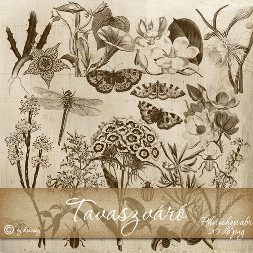 ����� ��� ������� - ��������