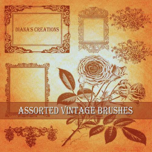 Assorted Vintage Brushes