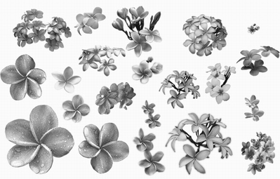 �����: �����