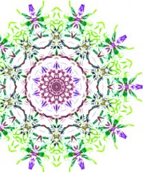 Kaleidoscope Brushes. ����� ��� Photoshop