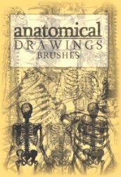 Anatomical Drawings. ����� ��� Photoshop