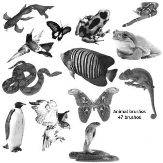 Animals and Plants. ����� ��� Photoshop