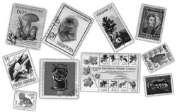 �����. ����� ��� Photoshop