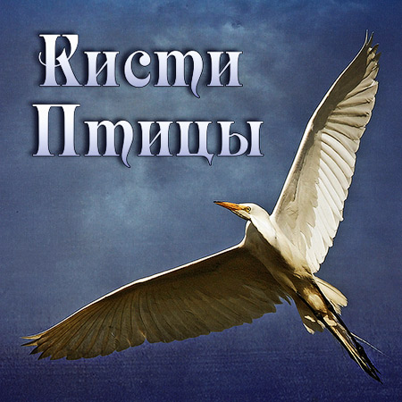 ����� - �����