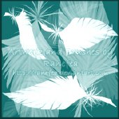 Feather Brushes. ����� ��� Photoshop