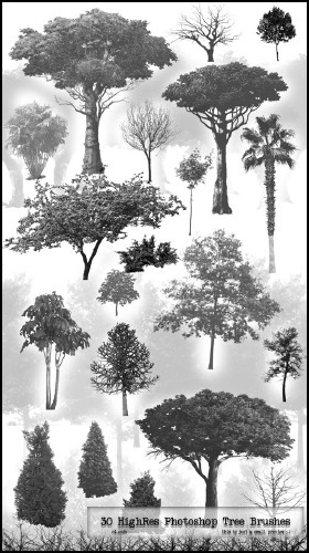 30 PS HighRes Tree Brushes 30 PS HighRes Tree Brushes