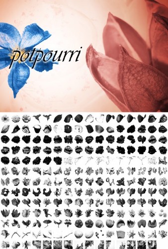Potpourri Photoshop Brushes