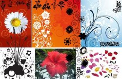 Floral GFX Collection. ����� ��� Photoshop