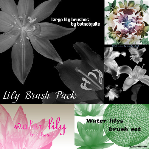 Lily Brush Pack Lily Brush Pack