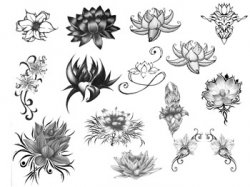 �����. ����� ��� Photoshop