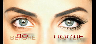 ����� ��� �������� - �������