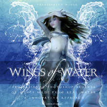 Rons brush wings of water Rons brush wings of water