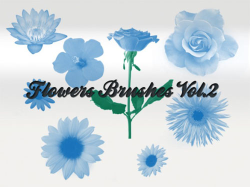 Flowers Brushes for Photoshop Vol 2 Flowers Brushes for Photoshop Vol 2