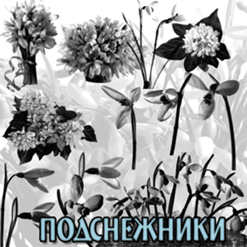 ����� "�����������"