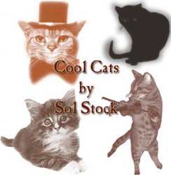 �����. ����� ��� Photoshop