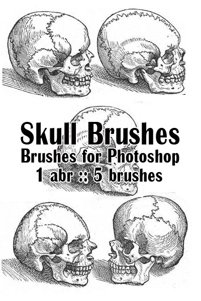 Skull Brushes. Кисти для Photoshop Skull Brushes. Кисти для Photoshop