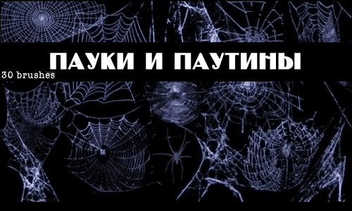 Кисти пауки и паутины Кисти пауки и паутины