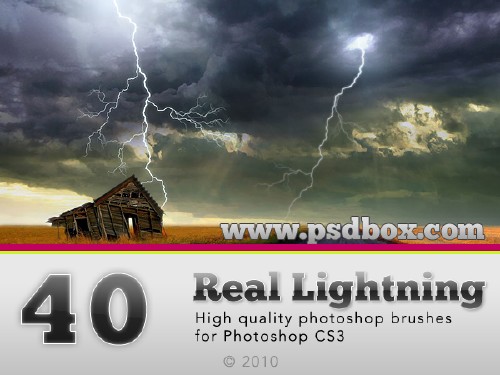 40 HQ Lightning Bolt brushes