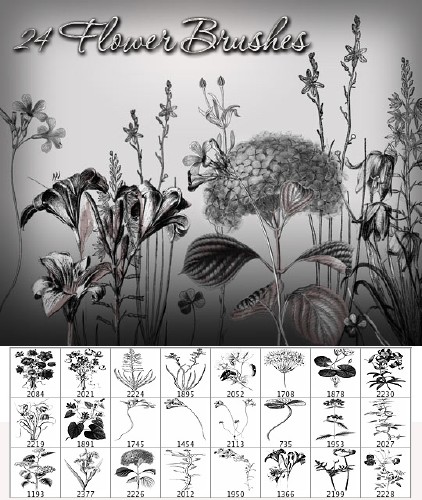 24 Flower Brushes 24 Flower Brushes