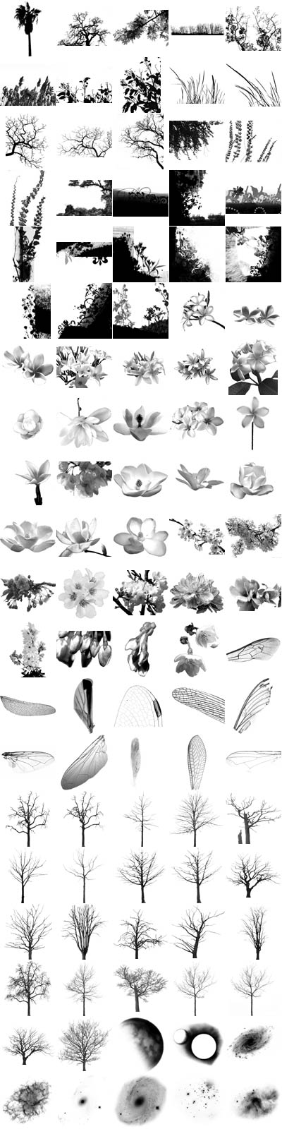 Nature. ����� ��� Photoshop