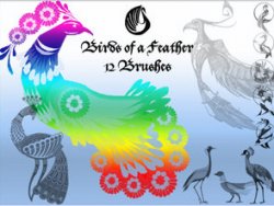 Birds of a Feather. ����� ��� Photoshop