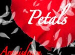 Кисти для Photoshop (сборник из 19 штук) Кисти для Photoshop (сборник из 19 штук)