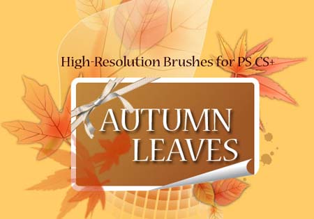 Autumn Leaves Brushes