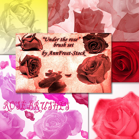 ����� - ����