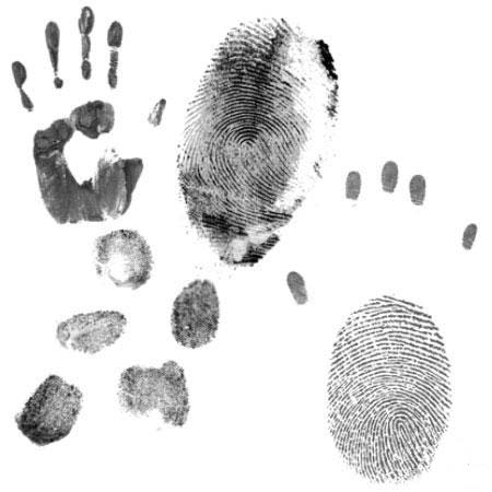 Fingerprints Photoshop Brushes