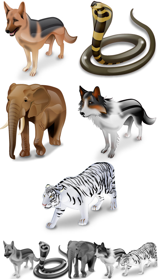 Animal - �������� (������)