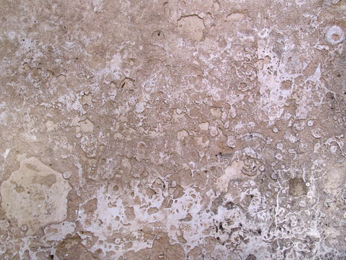 Psicosonic Textures - Construction Basic (CD1) Psicosonic Textures - Construction Basic (CD1)