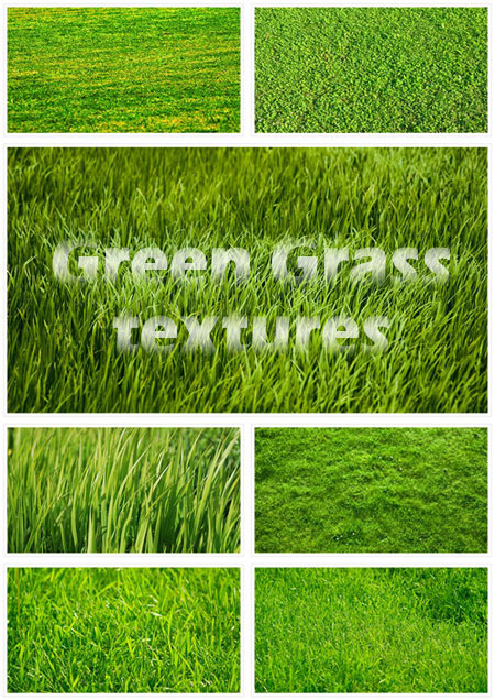 Green grass textures -   